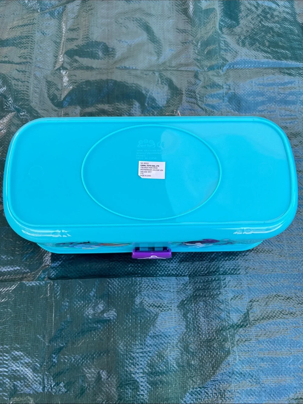 My Little Pony Aqua Storage Box with Purple Lid